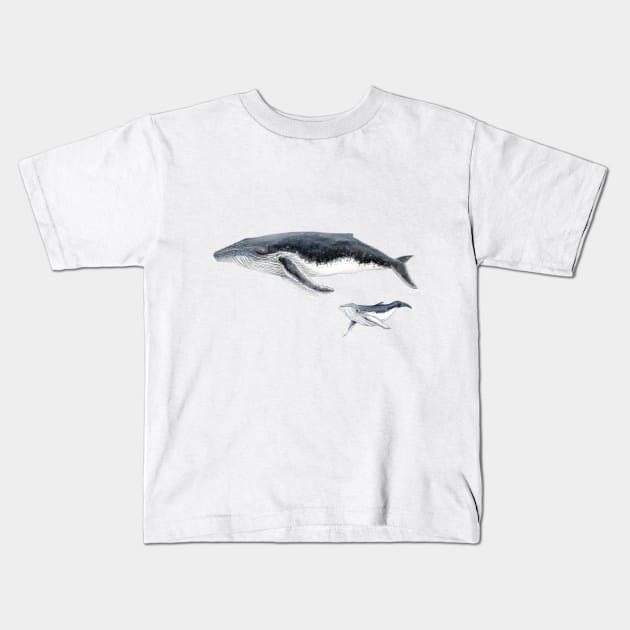 Humpback whale mother and baby whale Kids T-Shirt by chloeyzoard